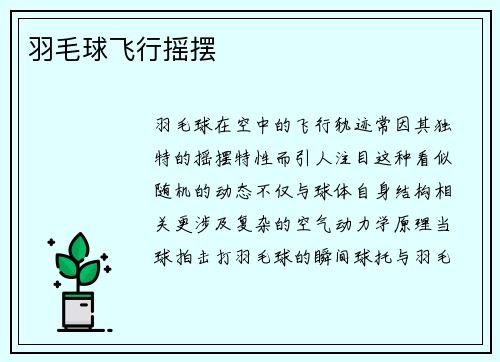 羽毛球飞行摇摆