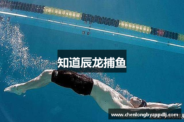 知道辰龙捕鱼